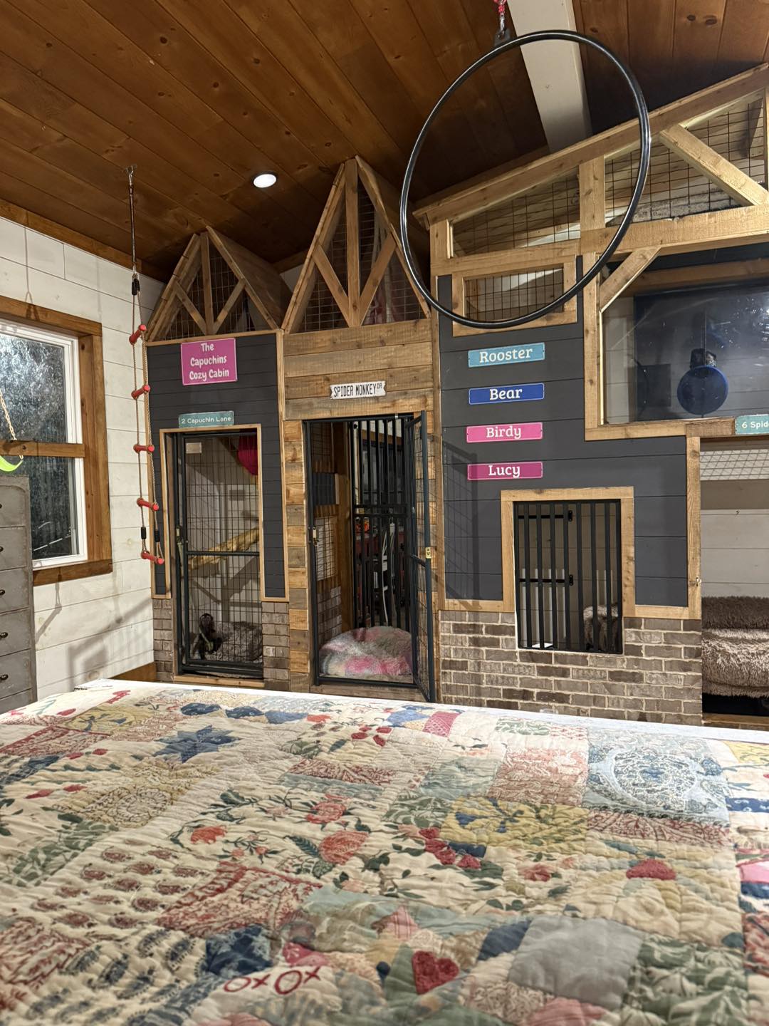 Clanton - Love how Keke’s sleep cabin turned out ️ | Facebook