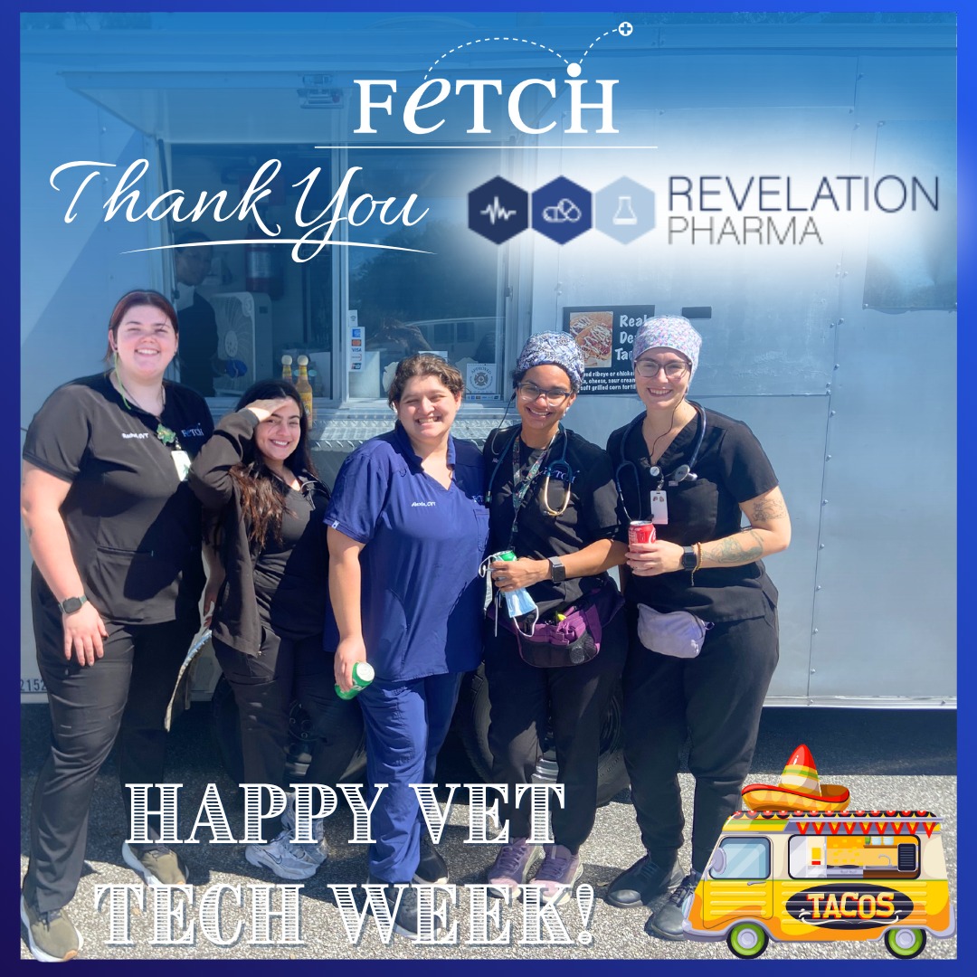 Fetch Specialty & Emergency Veterinary Centers - Brandon, FL | Brandon FL
