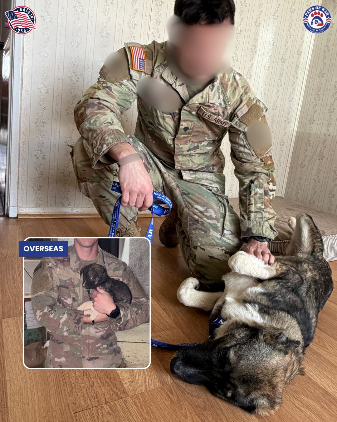 While deployed in Iraq, soldier Ken Wyrsch befriended a stray