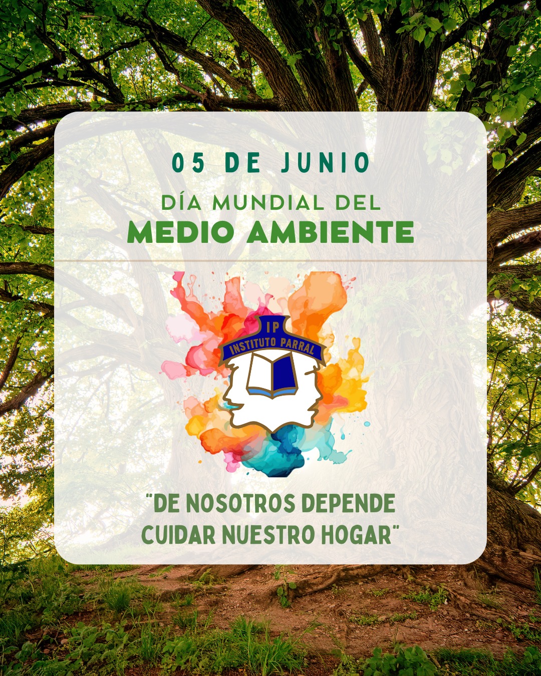 Colegio - 🌱DÍA MUNDIAL DEL MEDIO AMBIENTE🌱 🌳 Hoy celebramos el Día del ...
