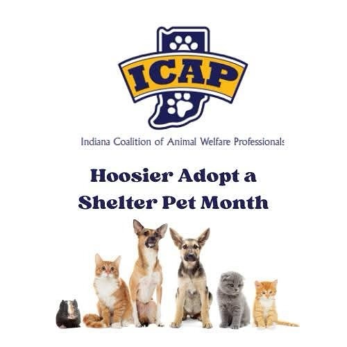 Vanderburgh Humane Society... - Vanderburgh Humane Society