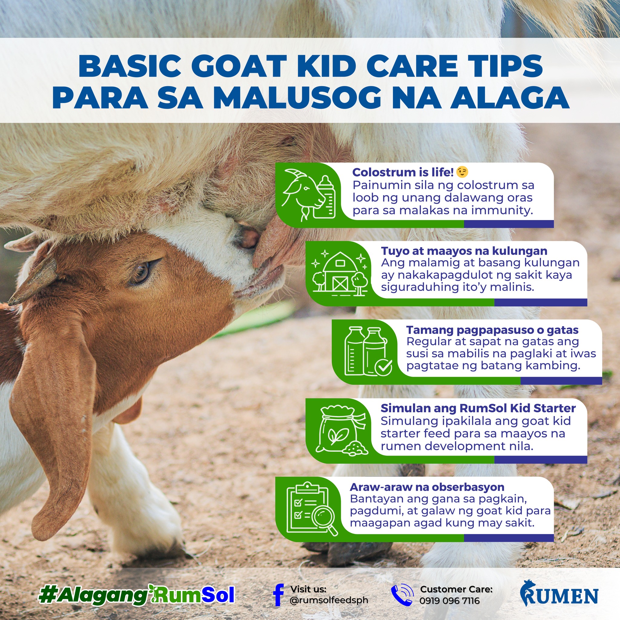 Rumen Nutrition Solutions - RumSol Feeds | Dolores