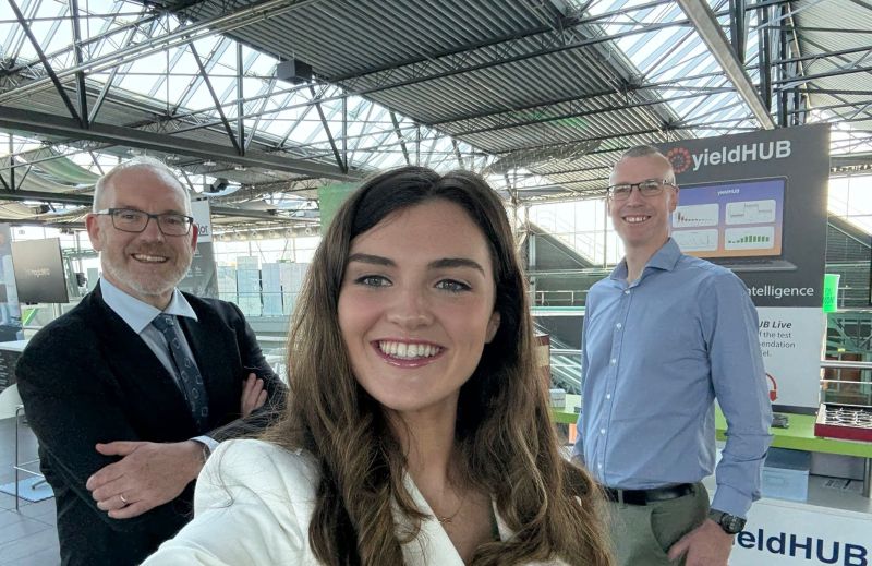 Yieldhub | Limerick