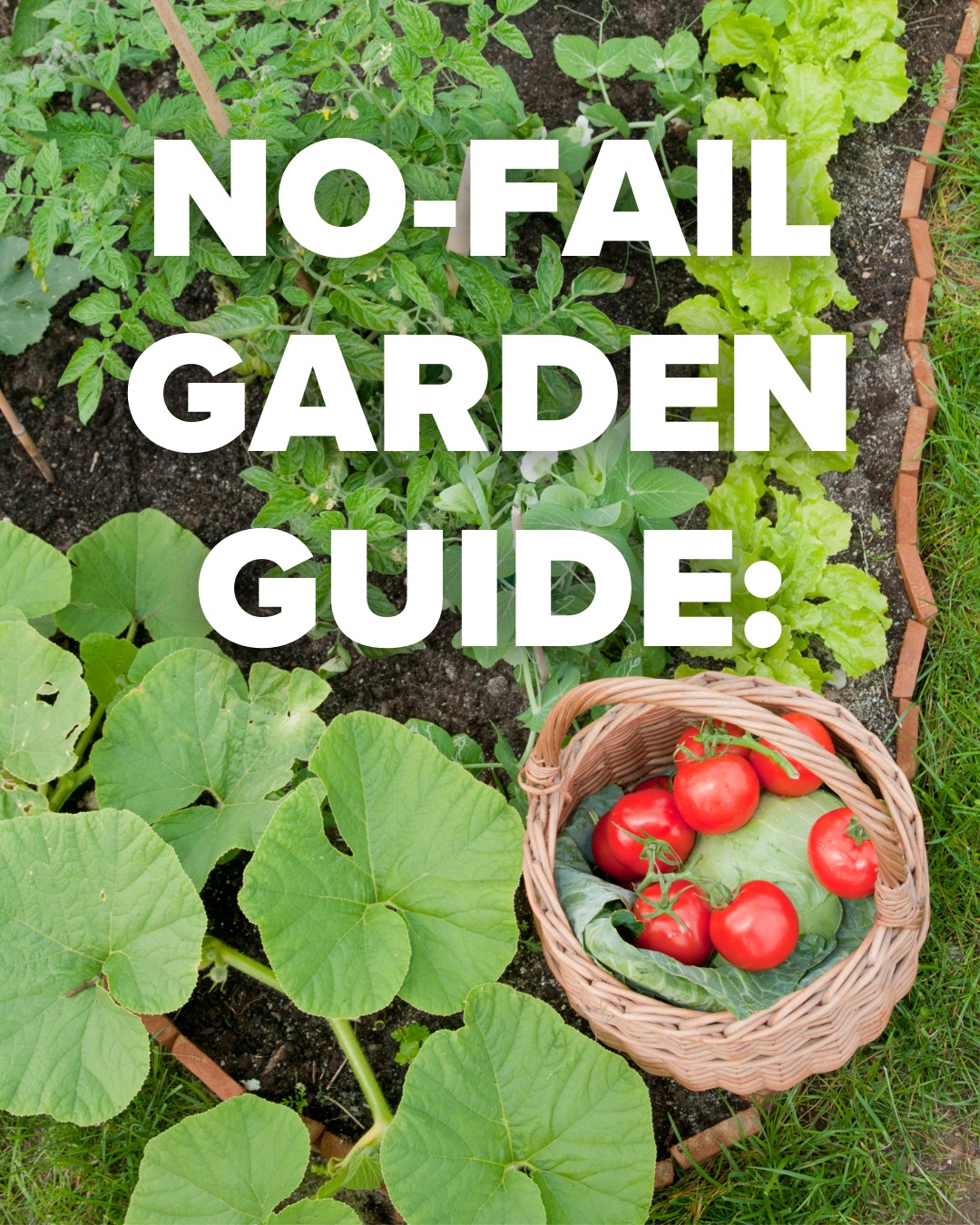🌱 Beginner’s Guide to... - St. Louis Composting, Inc. | Facebook