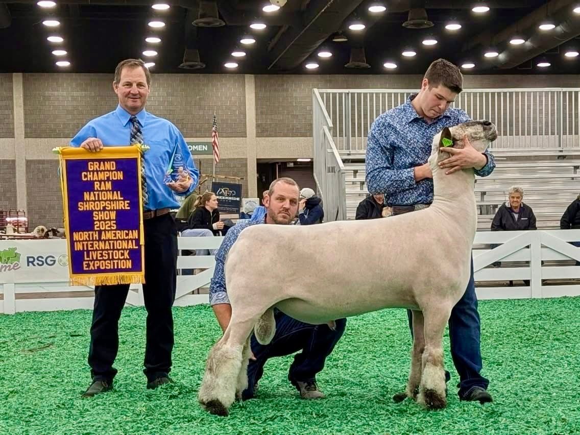 City Limits Sheep Farm added a... - City Limits Sheep Farm