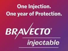 🦟🐾 NEW! Bravecto One-Year... - Unicorn Vets Fairfield | Facebook