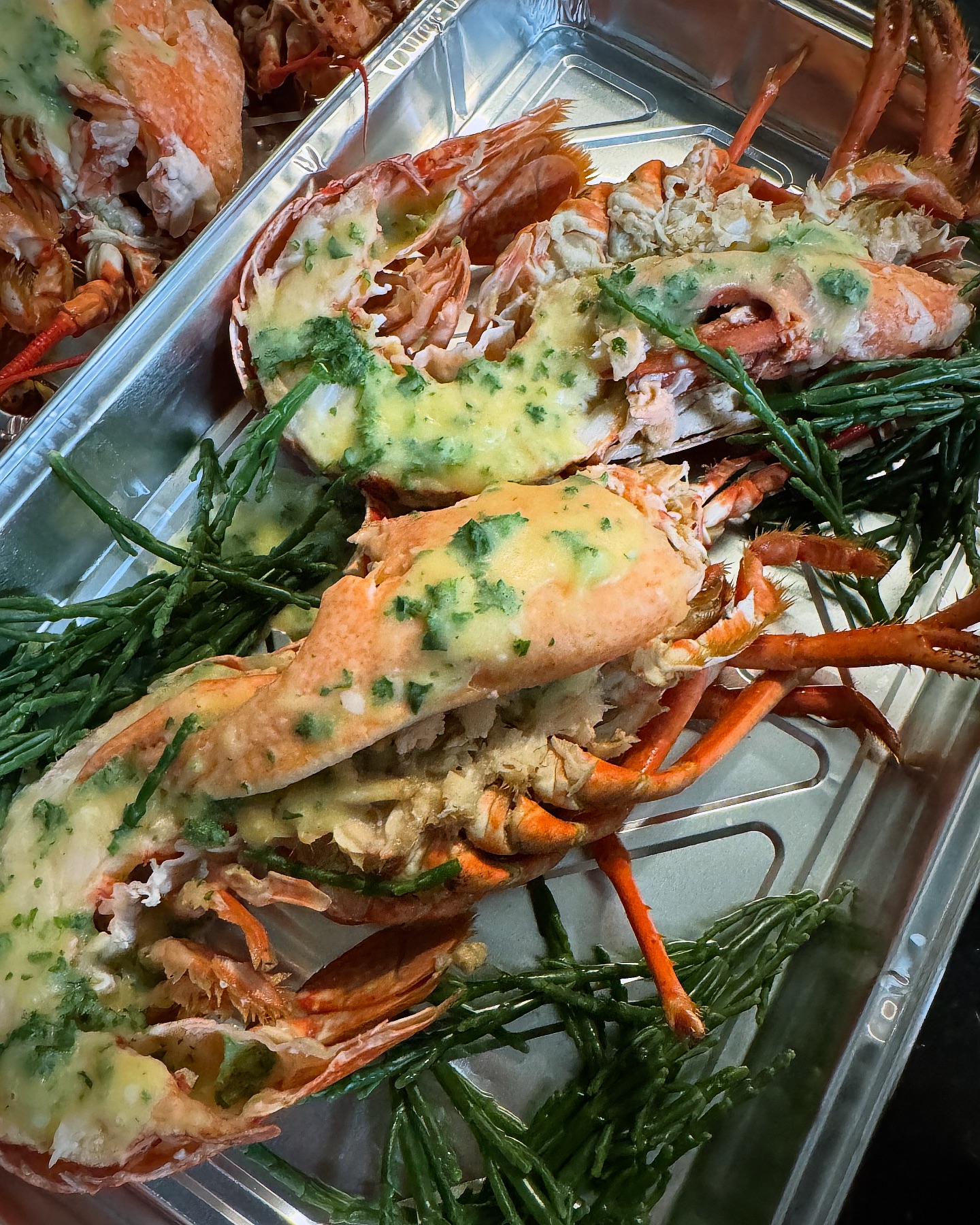 Dorset Shellfish | Portland