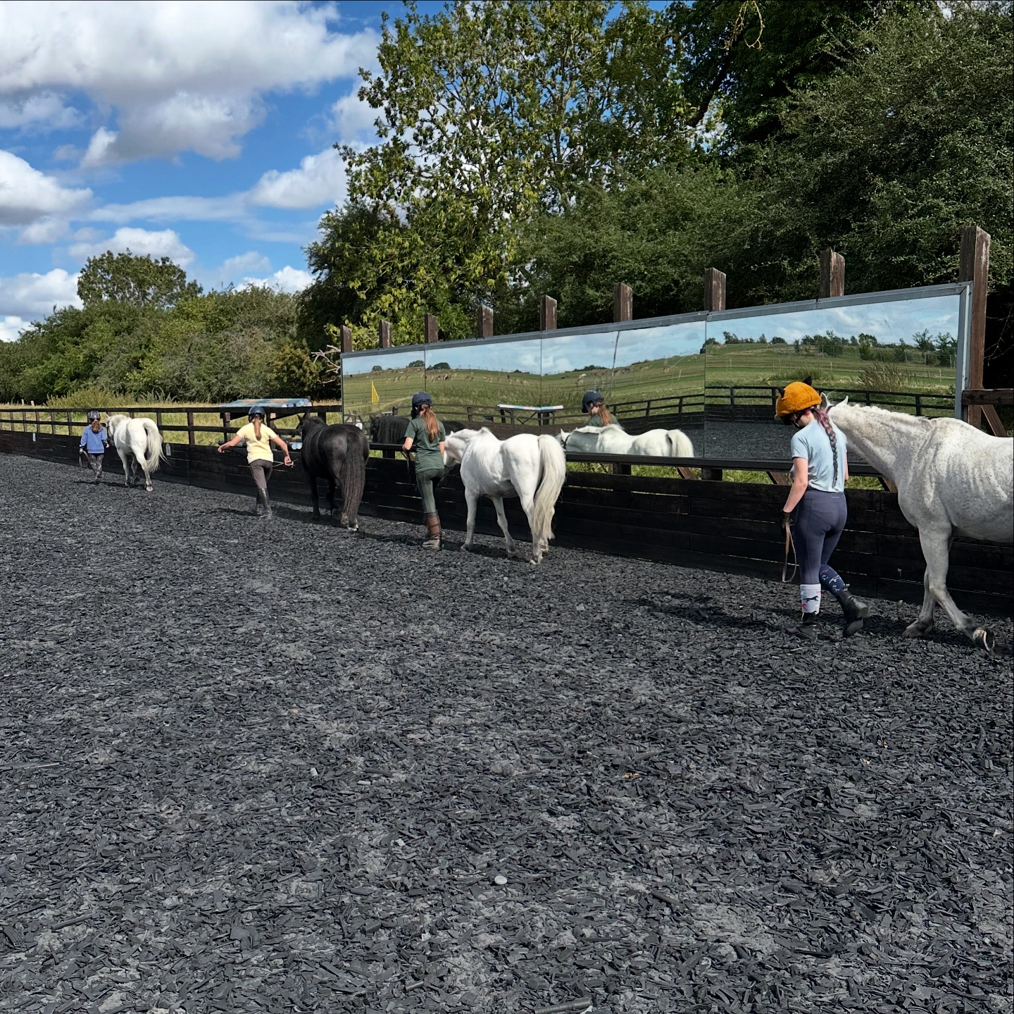 bulby-equestrian-centre-bourne