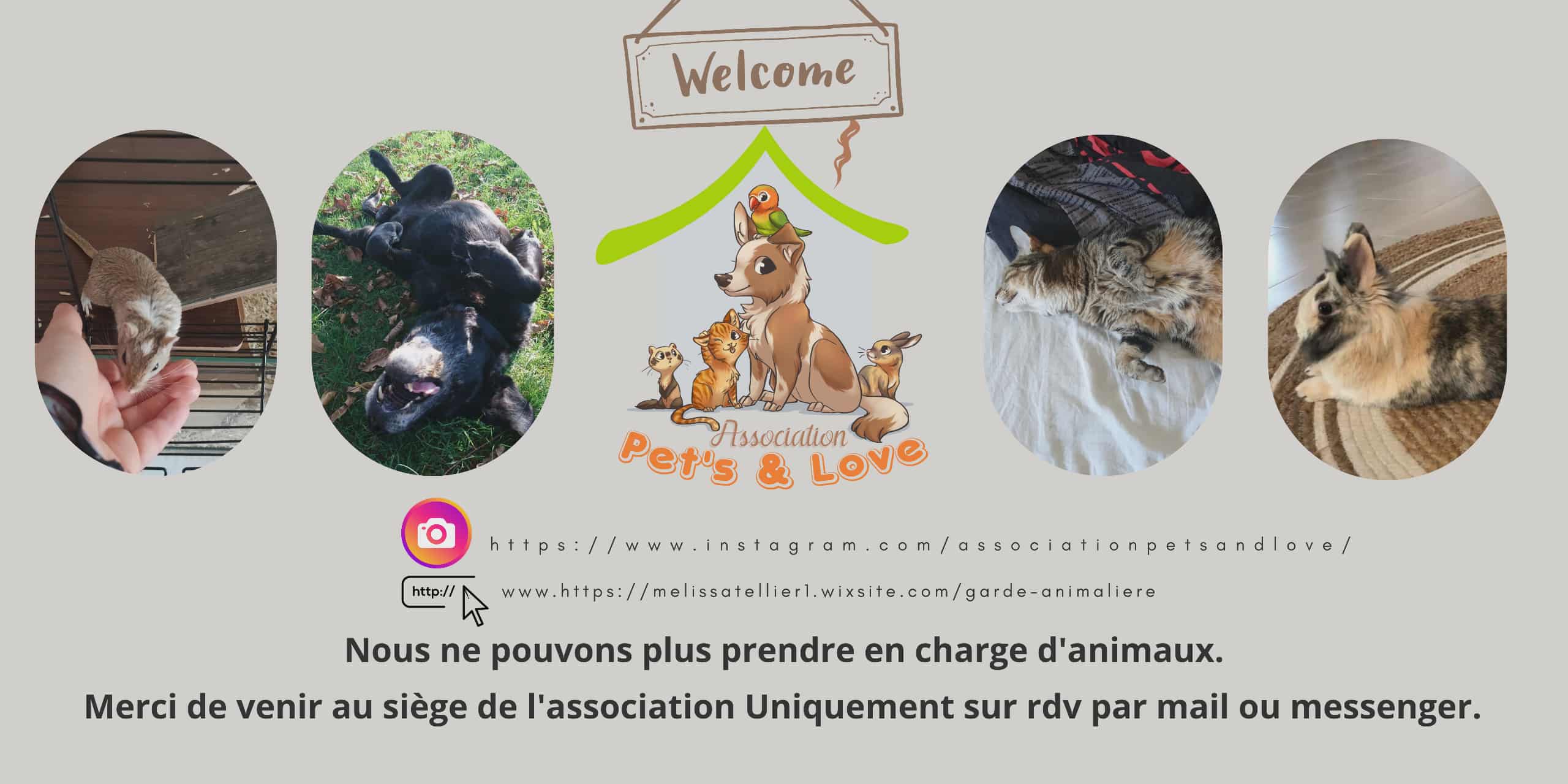 SPA - Rust a été Adopté