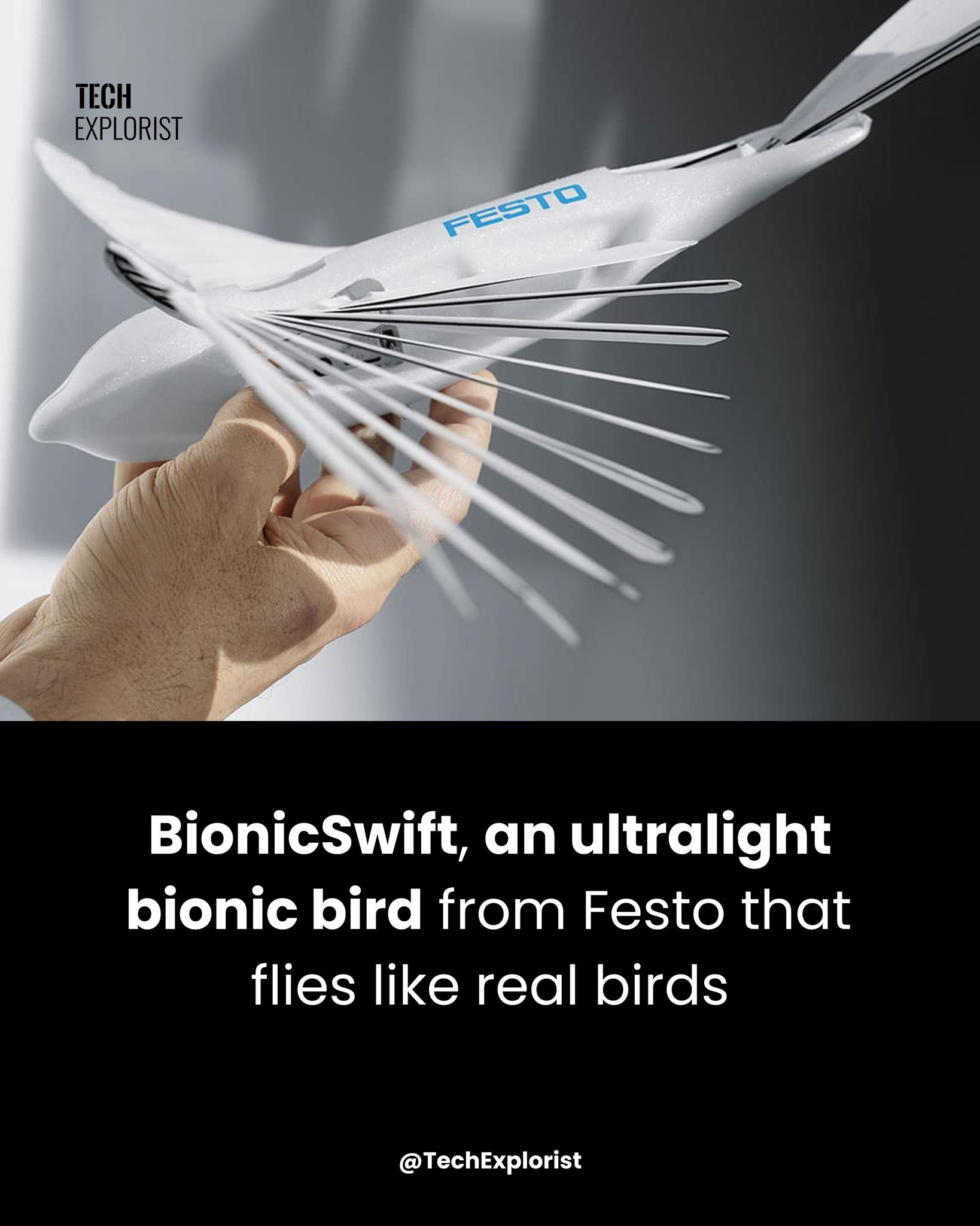 Tech - Meet BionicSwift — the ultralight robotic bird from German tech ...