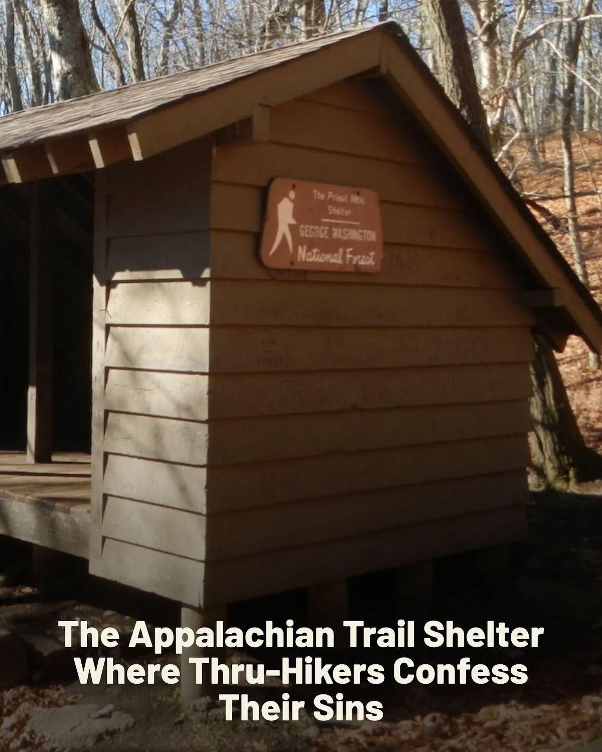 Backpacker - On top of a mountain in Virginia along the Appalachian ...