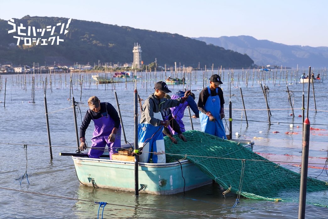 宇土市役所【熊本県】 - 【宇土市の特産品🌊海苔(ノリ)の養殖スタート！】 2025年11月6日(木) 午前0時... | Facebook