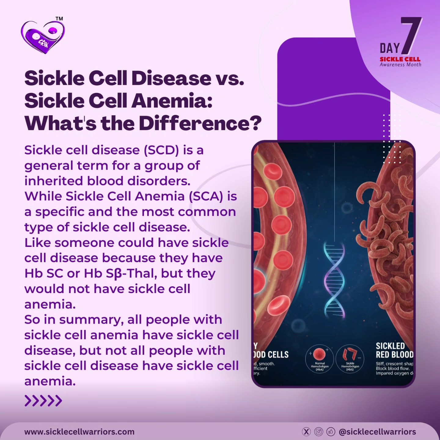 Sickle - Ever wondered about the difference between Sickle Cell Disease ...