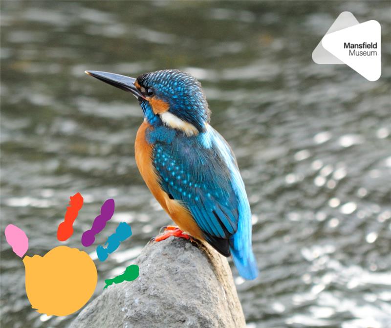 Mansfield Museum - Move & Make: A River Adventure at Mansfield Museum ...