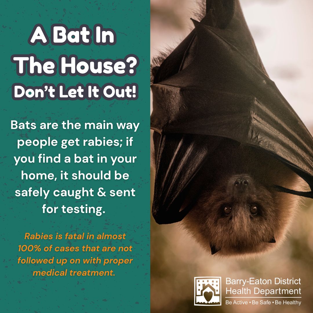 Barry-Eaton - Rabies can be spread through bites or scratches from an ...