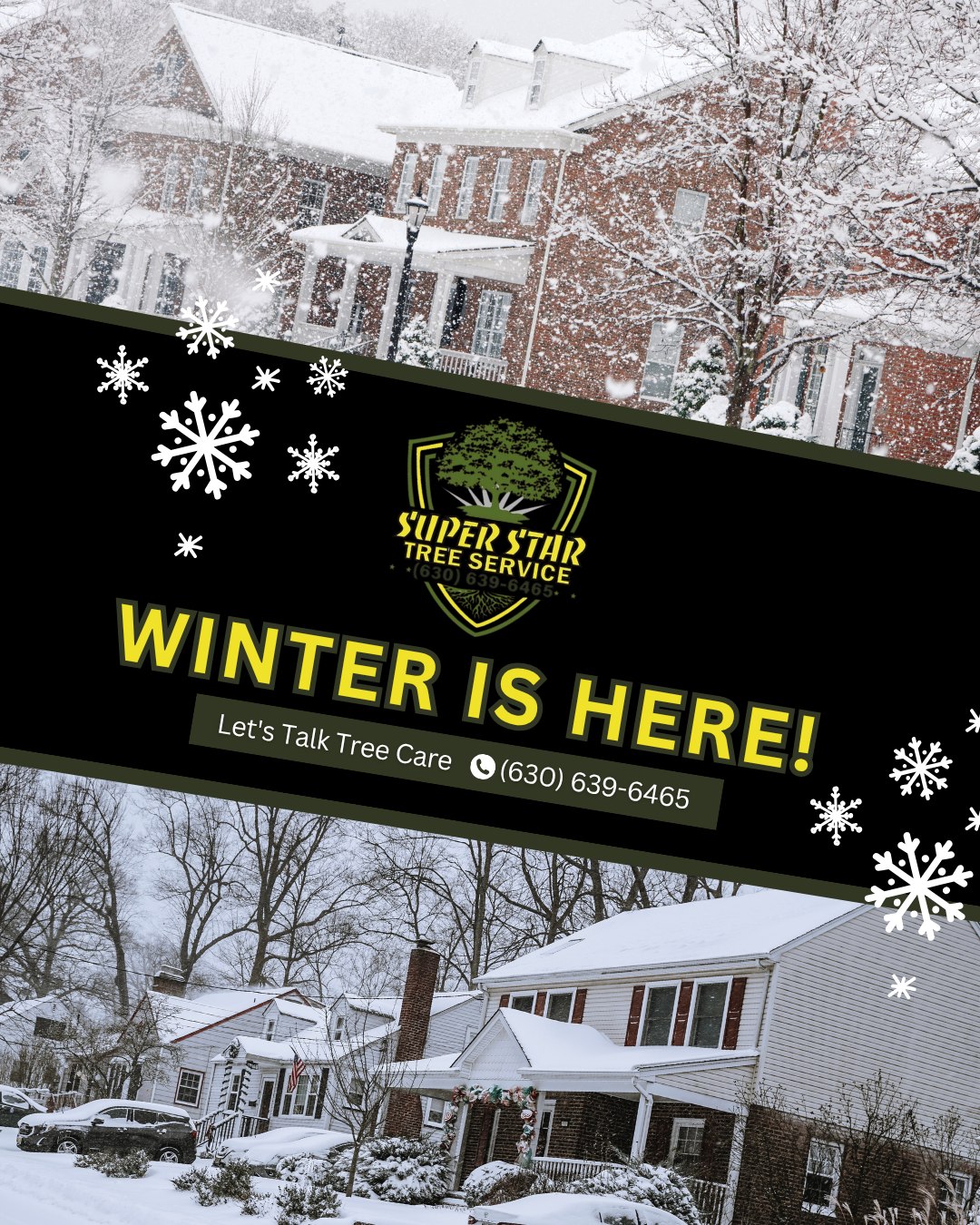 Super Star Tree Service Inc | West Chicago IL