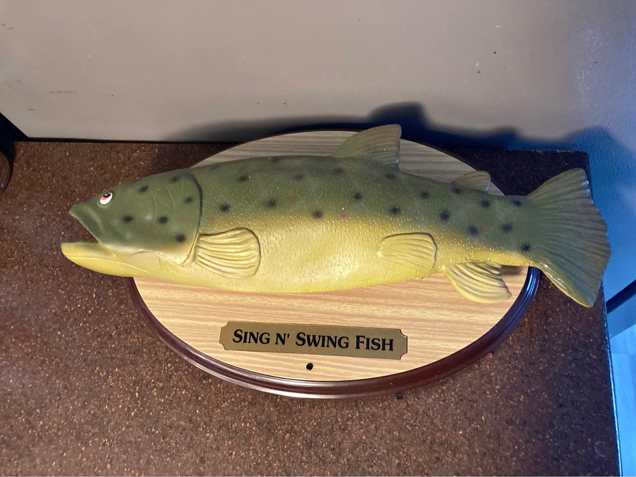 Singing Fish - Fishing - Simcoe, Ontario | Facebook Marketplace | Facebook