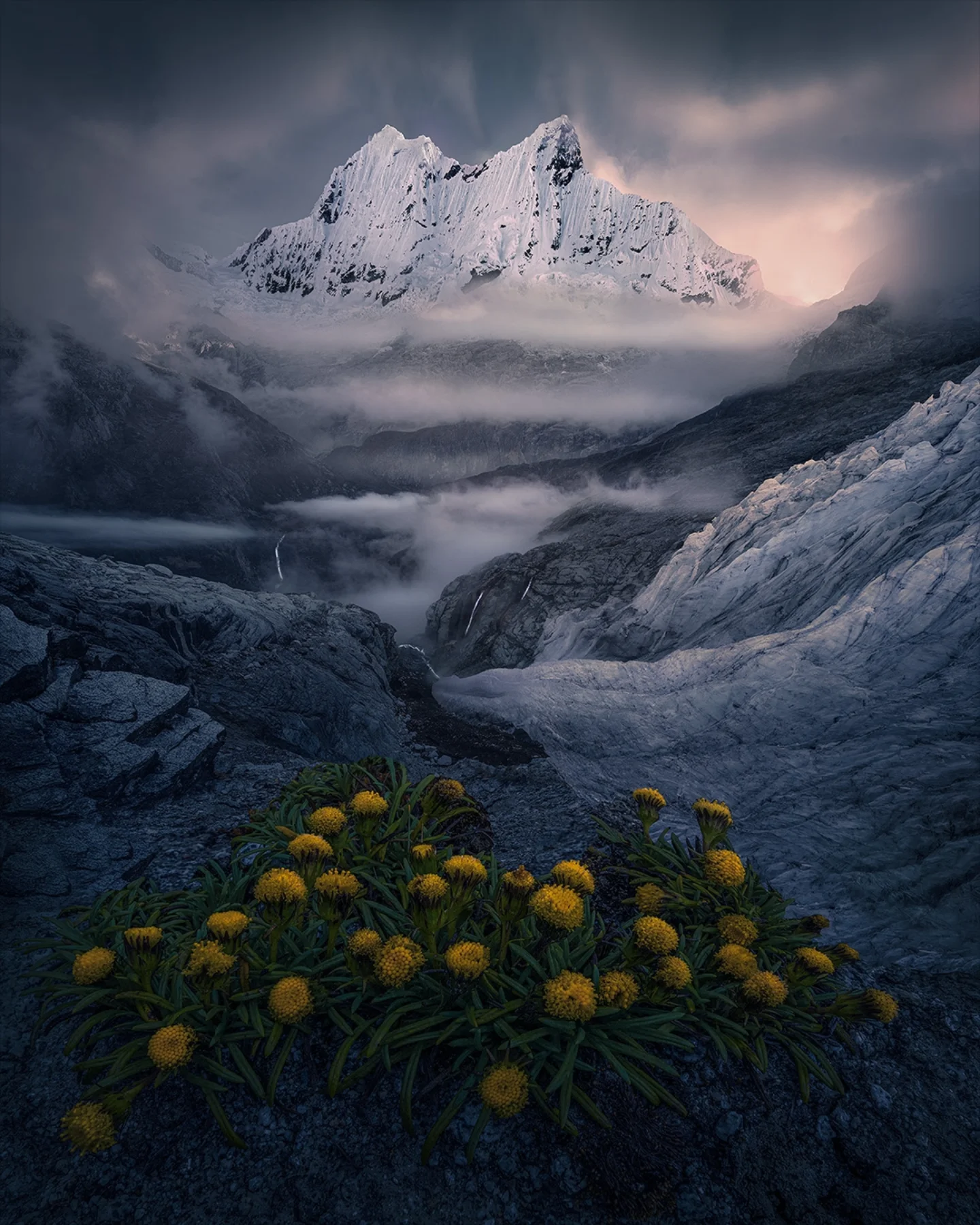 Max Rive Photography