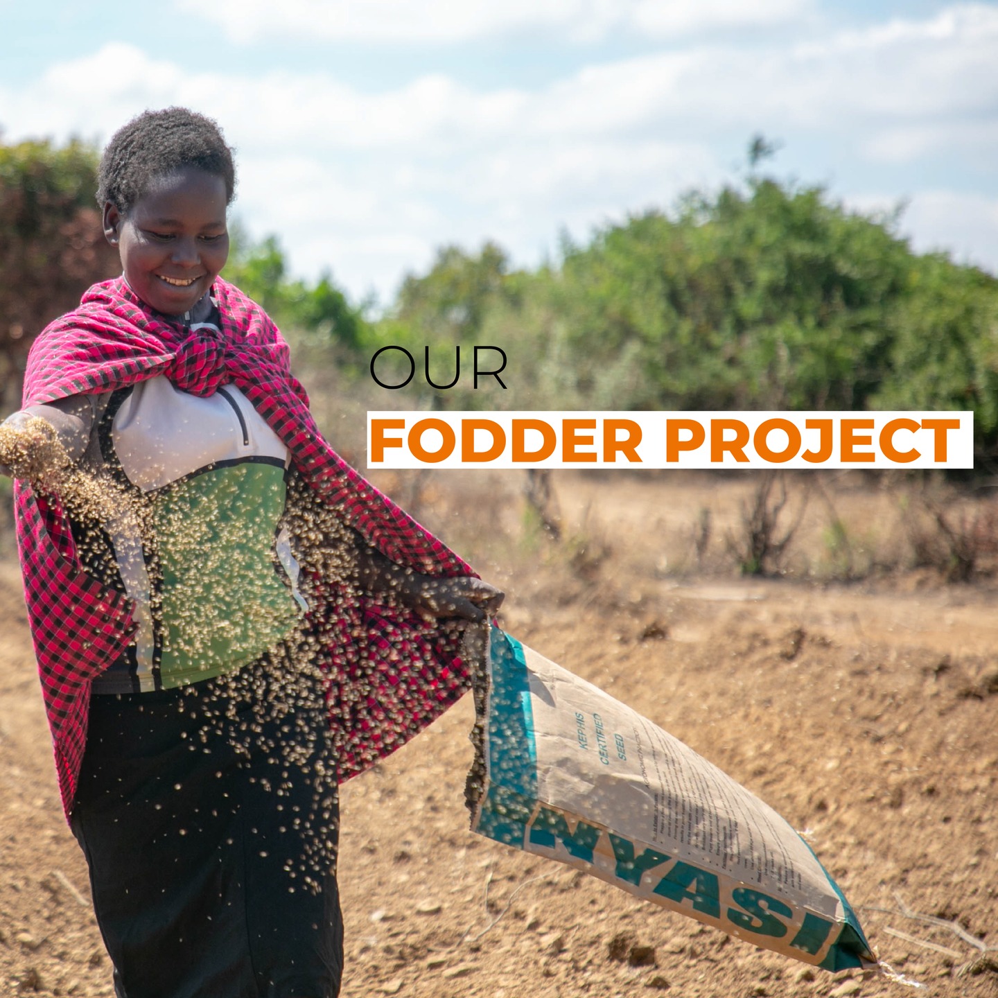 The Brooke - 🌾 Building Livelihoods & Resilience Across East Africa ...