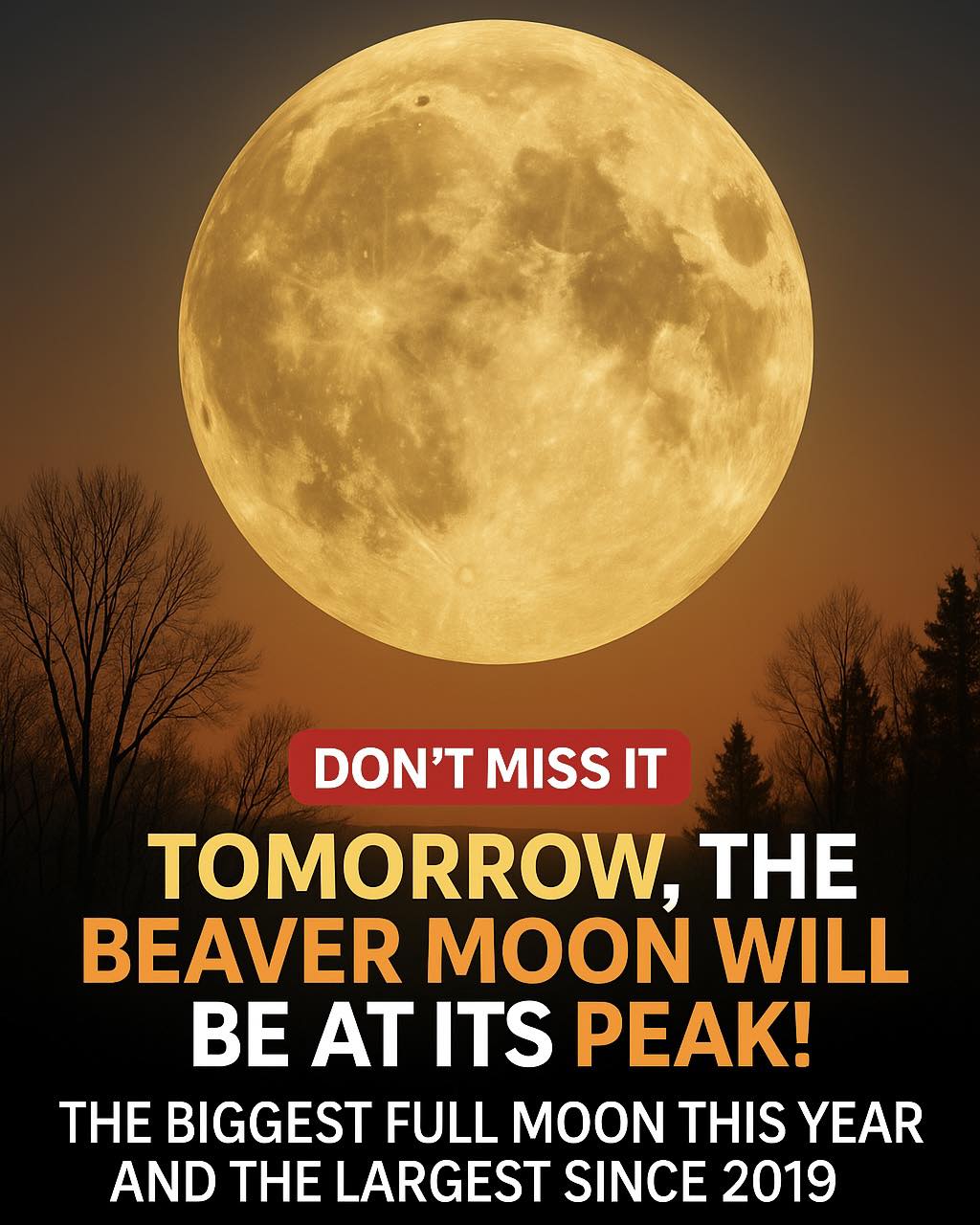 The Earth - 🌕 DON’T MISS IT — THE BIGGEST SUPERMOON SINCE 2019! 📅 ...