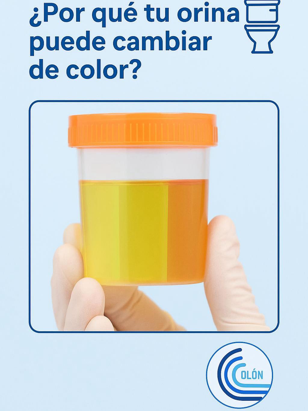 Clínica - 🩺 ¿Por qué tu orina puede cambiar de color? 🚻 El color de la ...