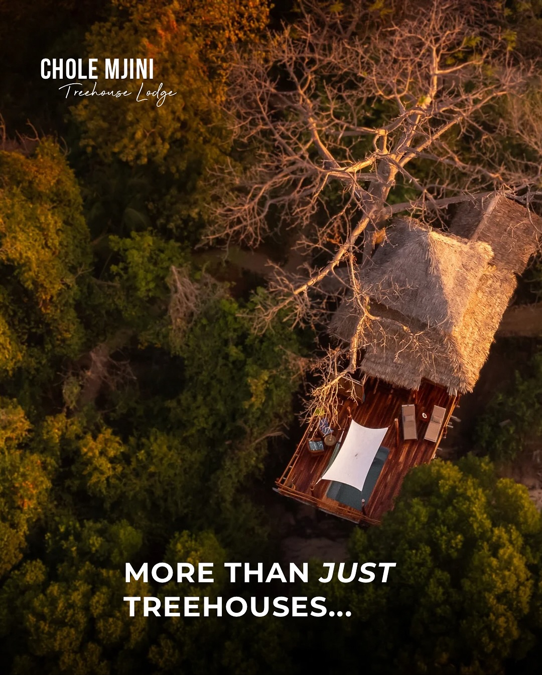 Chole Mjini Treehouse Lodge