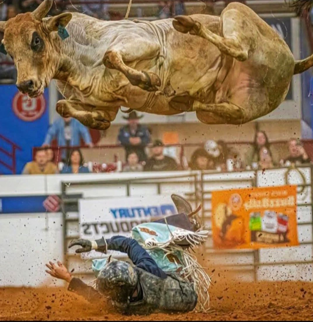 Rodeo - Amazing! 🤩 Great photograph! 📸 #rodeonewsbroadcast #rodeo #pbr ...