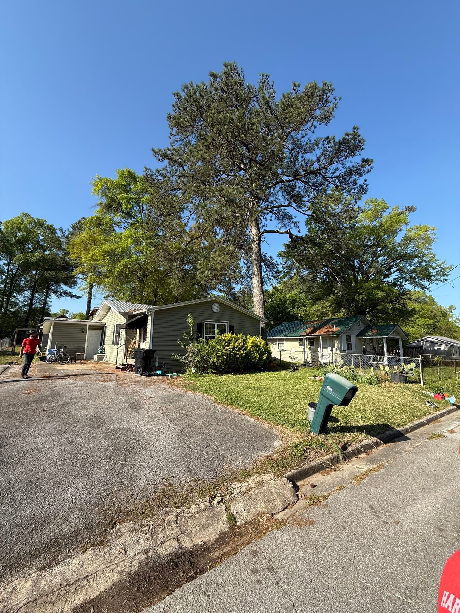 Harris Tree Service | Springville AL