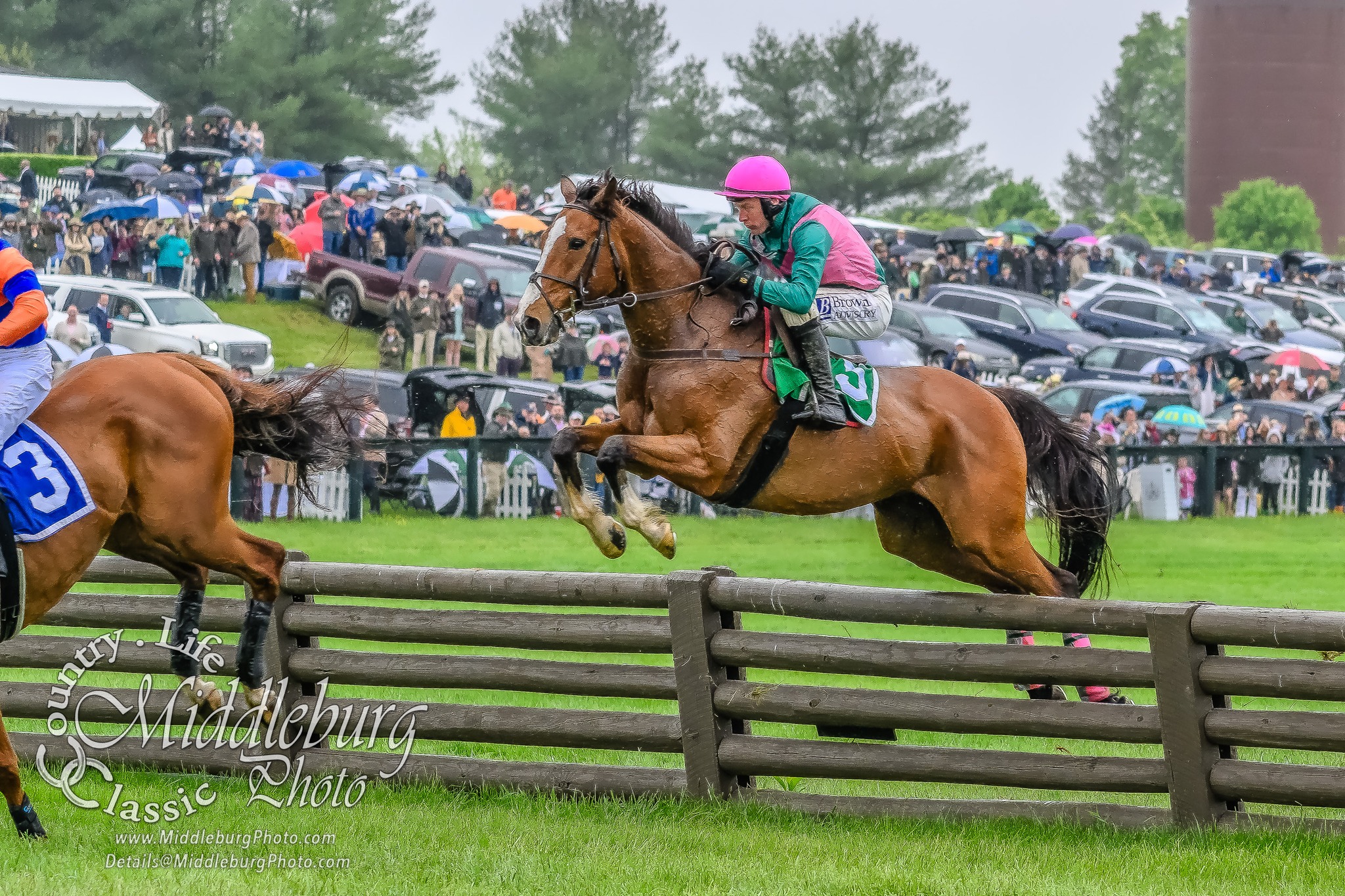 The Middleburg Hunt Point to Point 2025... - Middleburg Photo | Facebook