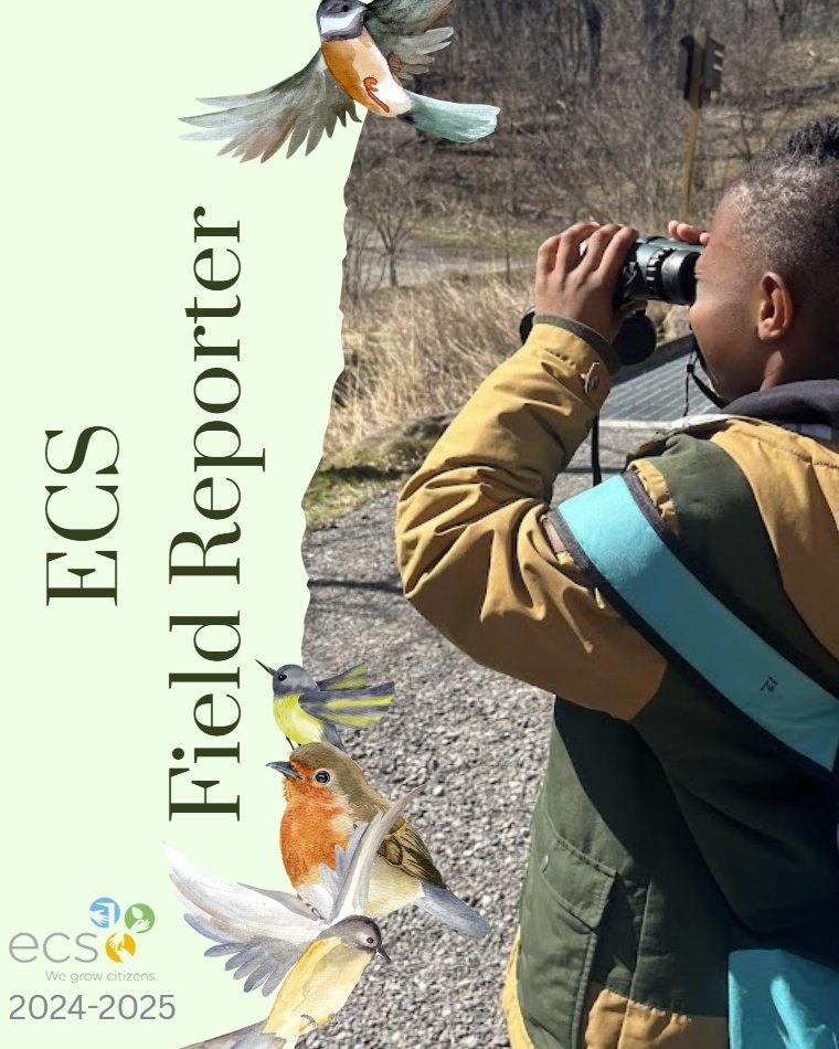 Environmental... - Environmental Charter School Pittsburgh
