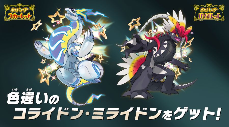 Miraidon and Koraidon Cards that are purchased from the Pokémon