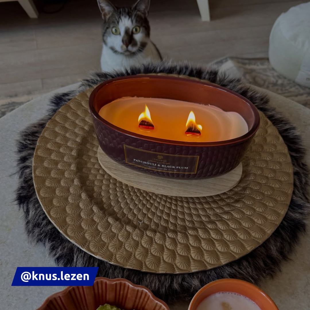 Diesen Haustieren geht's richtig gut! 🐶😻 Wolle 3,99 € Treewick Duftkerze 7,95 € Hundespielzeug 3,99 € By Beeztees Hundespielzeug 2,99 €