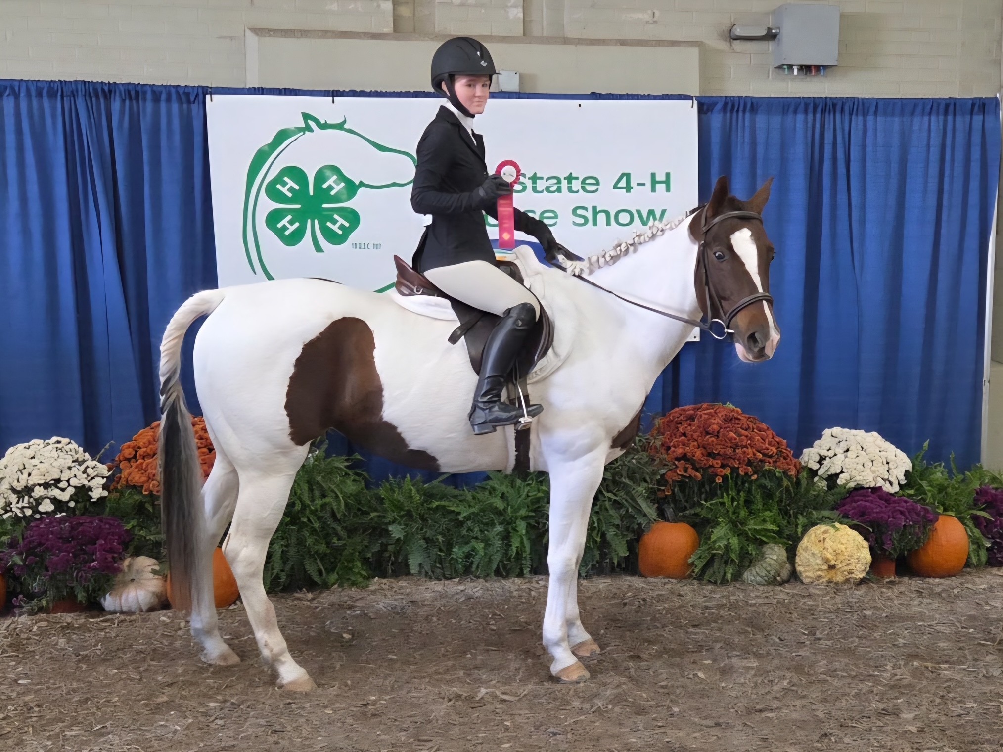 Huntingdon - Hailey Hack Finalist in Hunt Seat Equitation on the Flat ...
