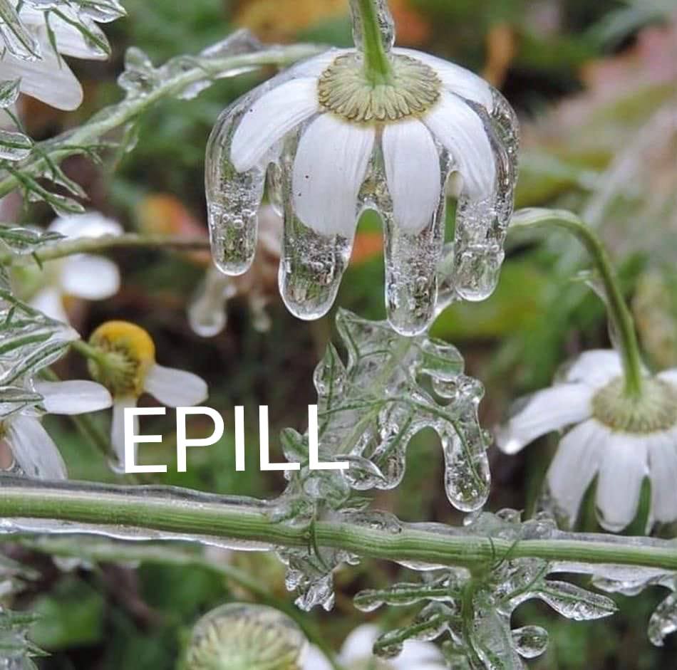 EPill - Eesti Psüühikahäiretega Inimeste ja Lähedaste Huvikaitse Liit ...