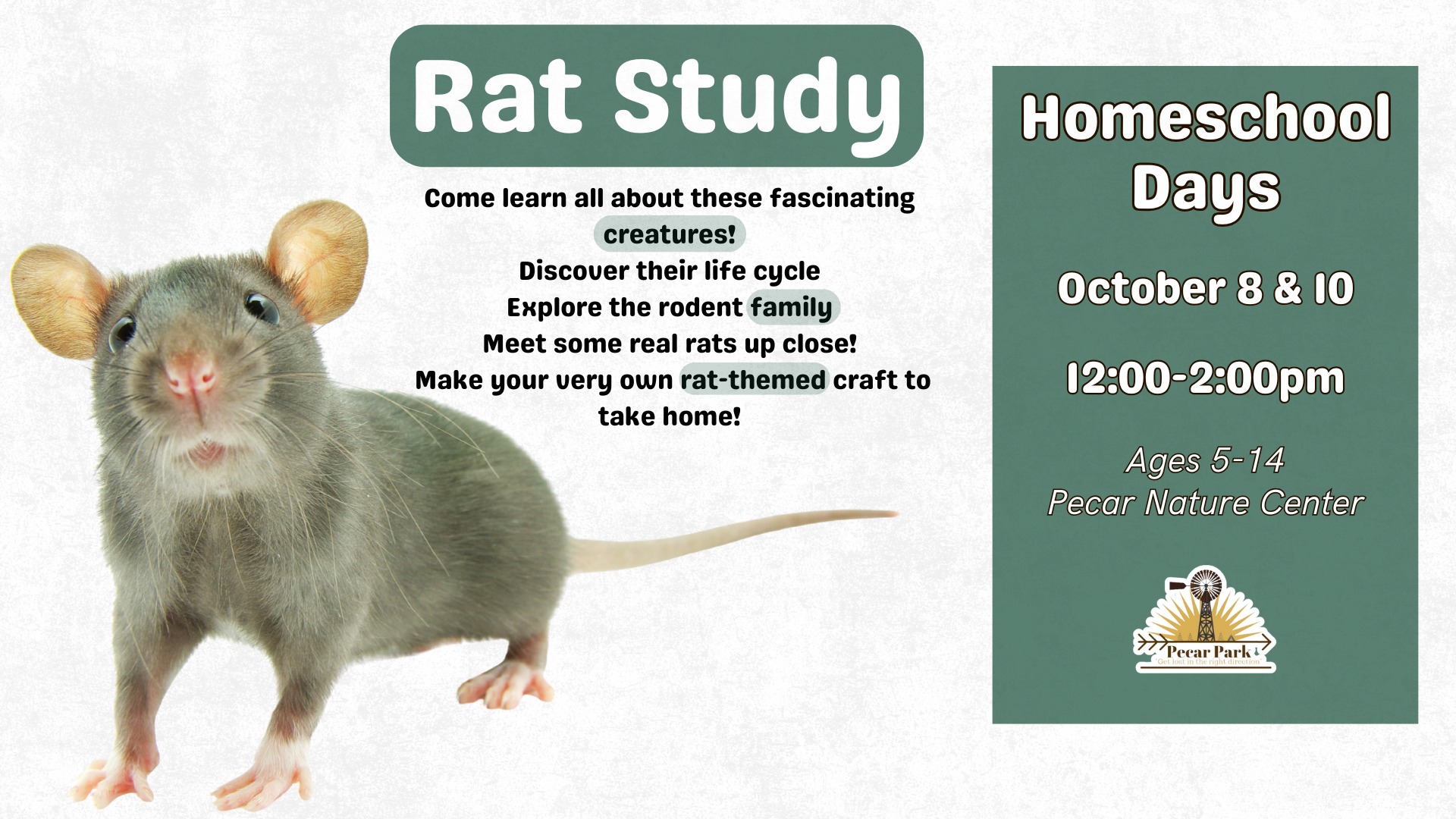 Homeschool Days - Rat Study