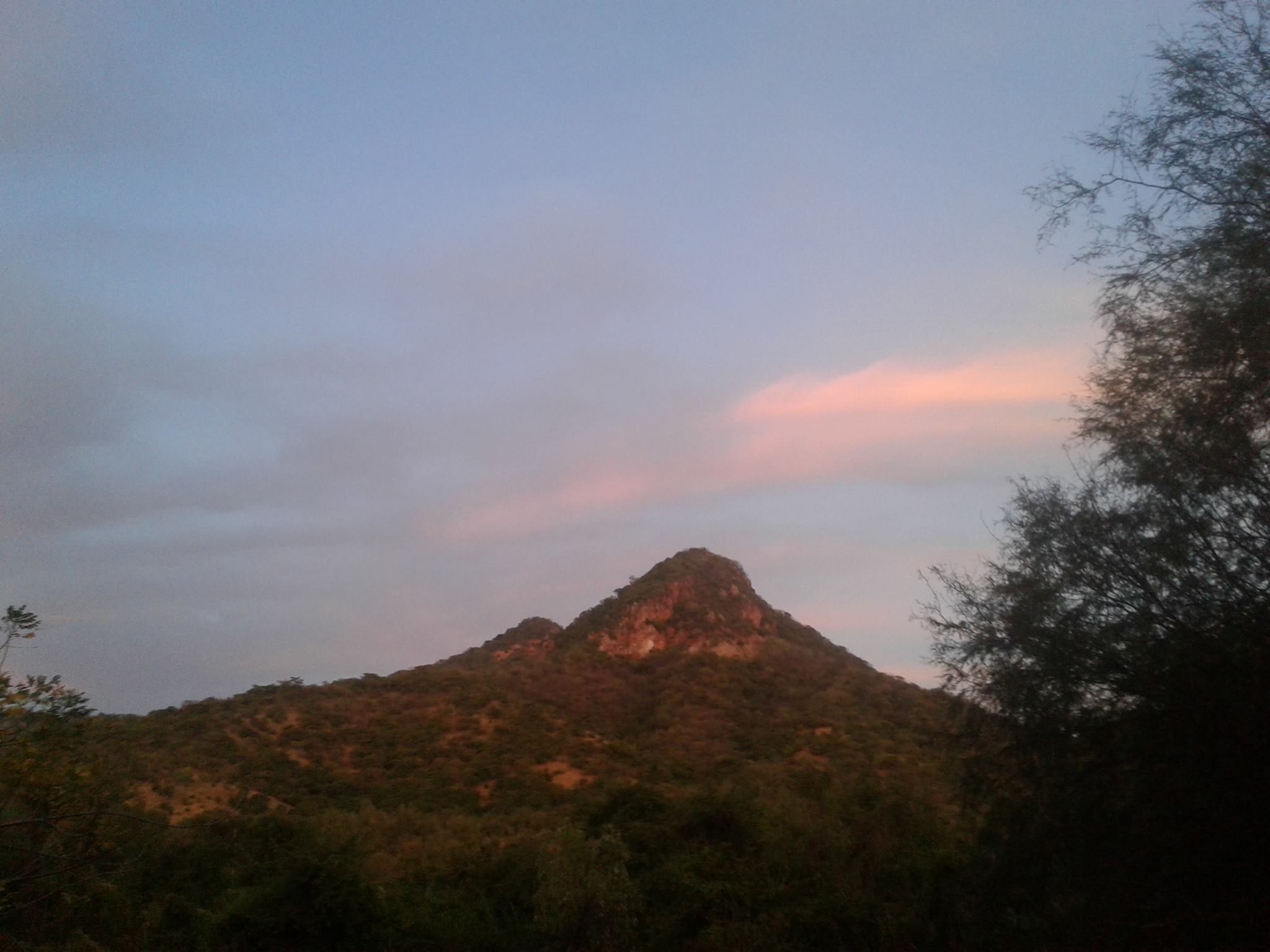 Iripa Sinaloa