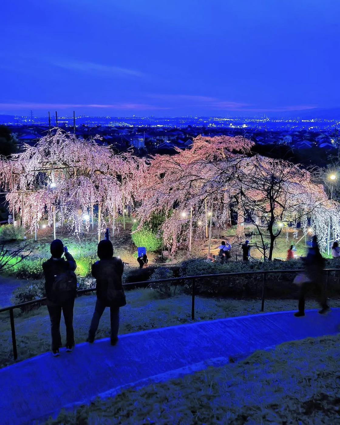 uji city botanical park