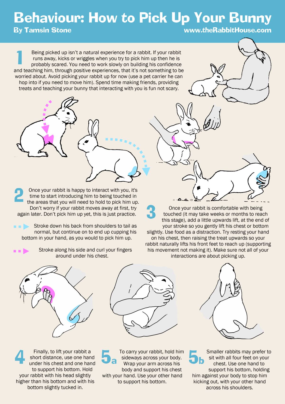 The Rabbit House added a new photo. - The Rabbit House
