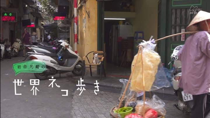 Thiếu - Oshiete yo shiete yo | Facebook