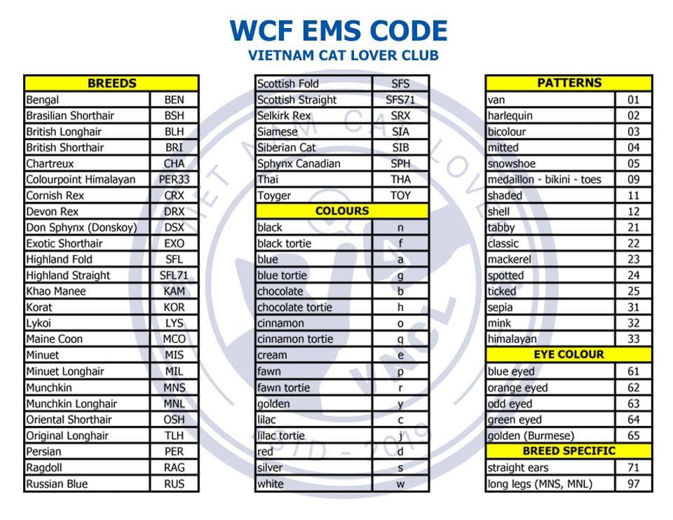 #WCF_EMS_CODE 1️⃣#BREEDS - đây là... - WCF VietNam by VCA