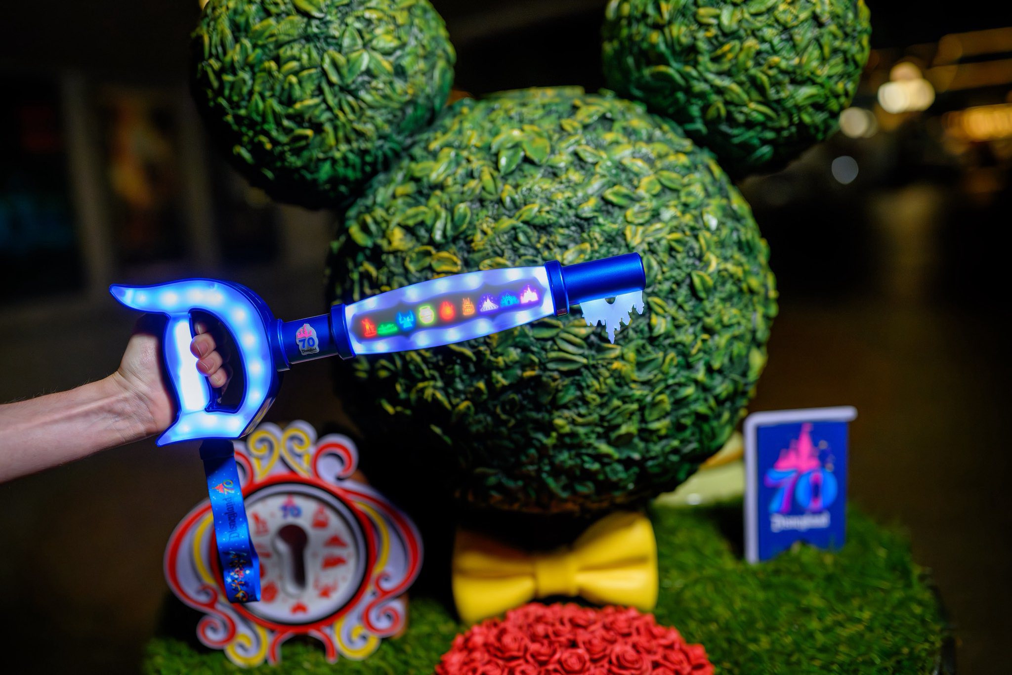 Here is the“Key to Disneyland” which is an in-park experience to