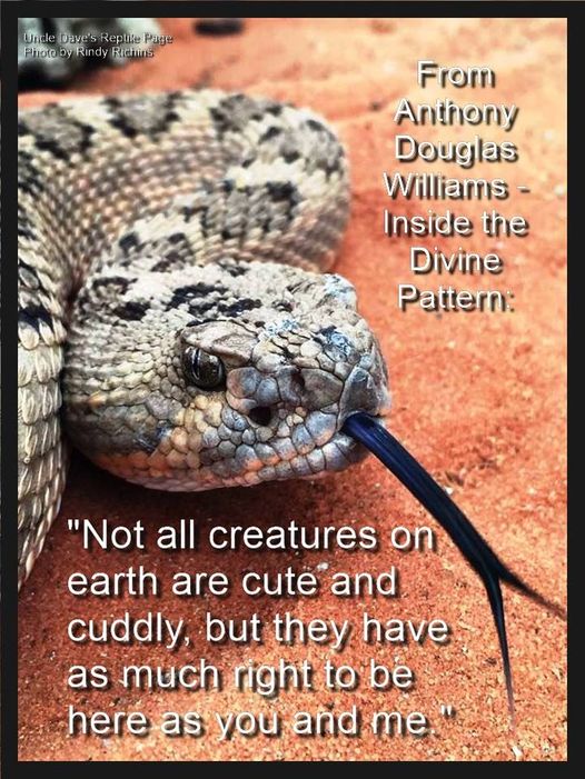 Picture of The Snake Anti-Defamation League