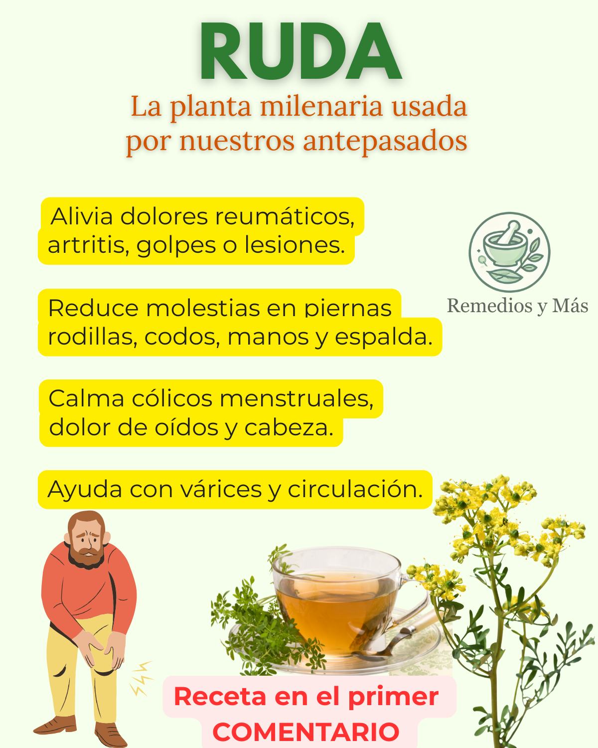 Recetas fáciles de preparar