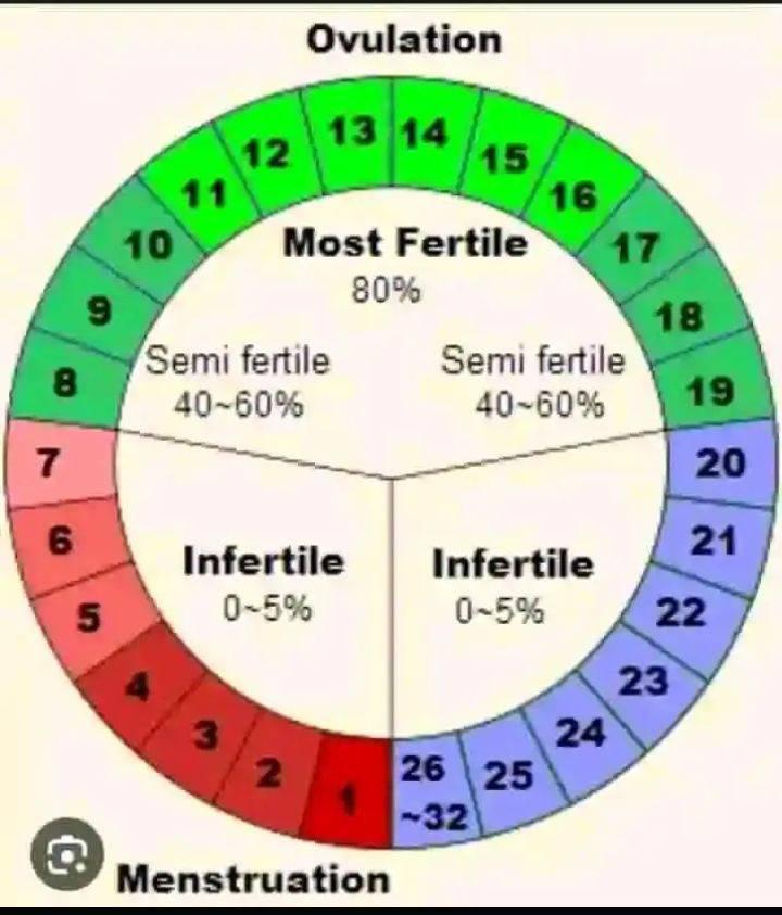 Calculation Of Ovulation and Circle length | THINGS YOU NEED TO KNOW ...