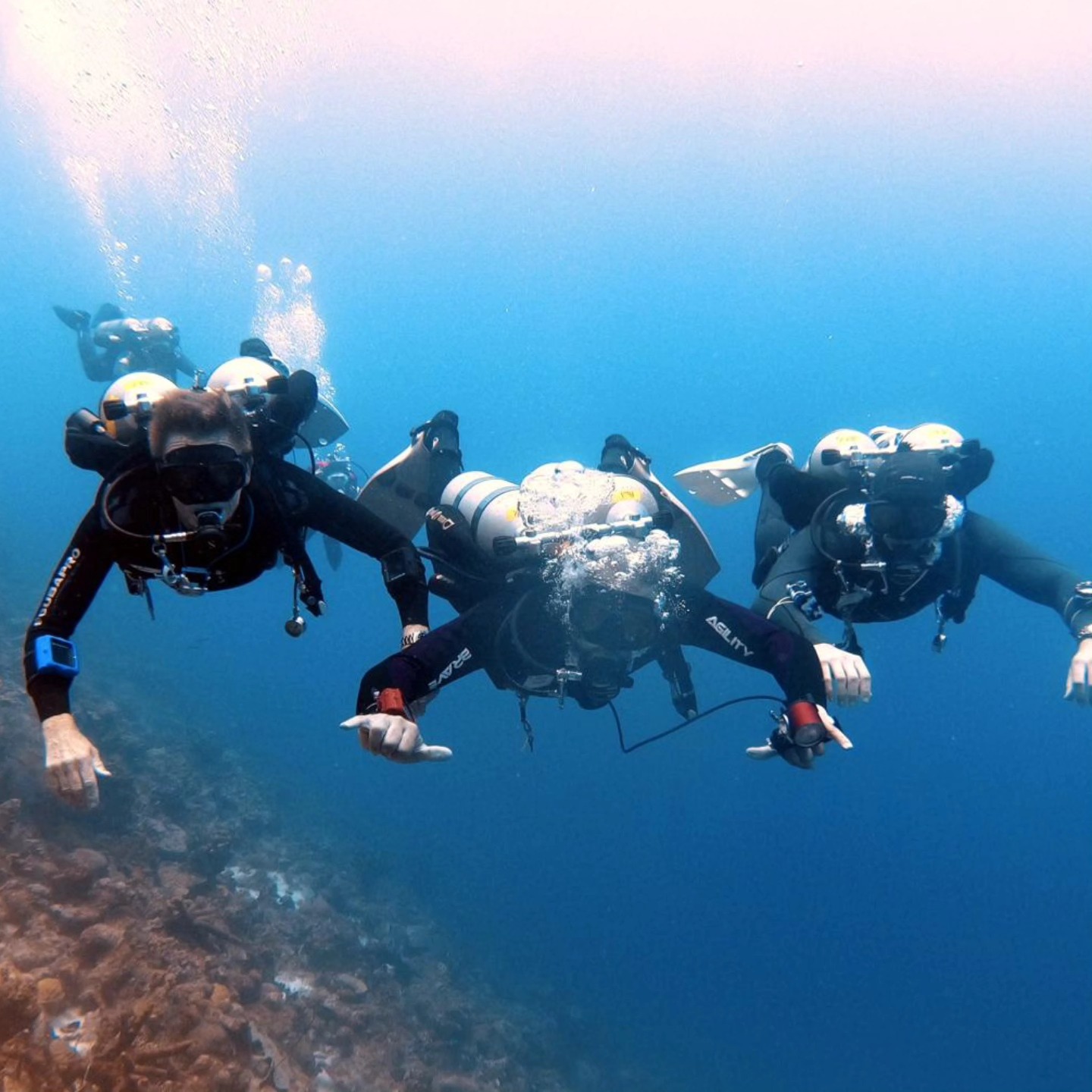 In2Deep - 🌊 Dive into Adventure: Buddy Dive Bonaire! 🌊 Join us for an ...