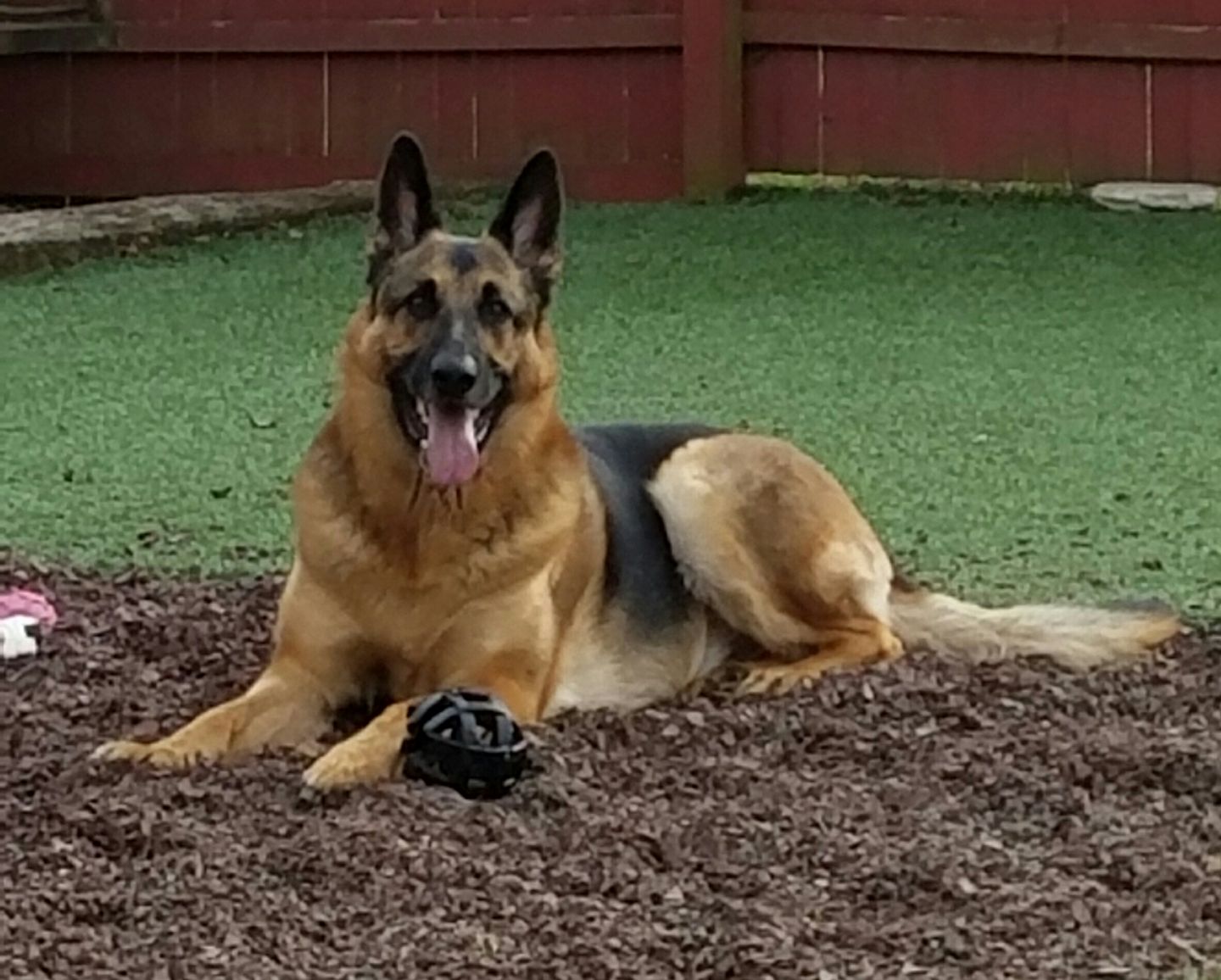 Flynn's Pet Tracking Service