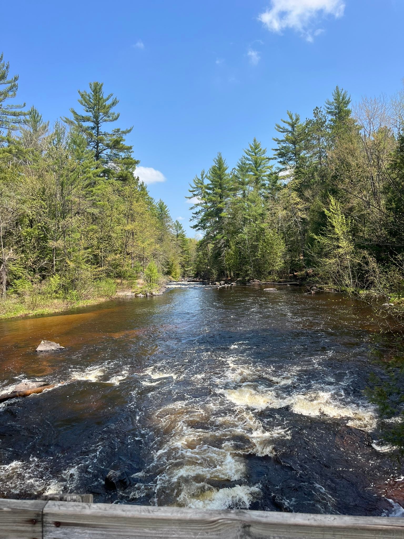 Photos taken today at Dave’s... - Explore Marinette County | Facebook