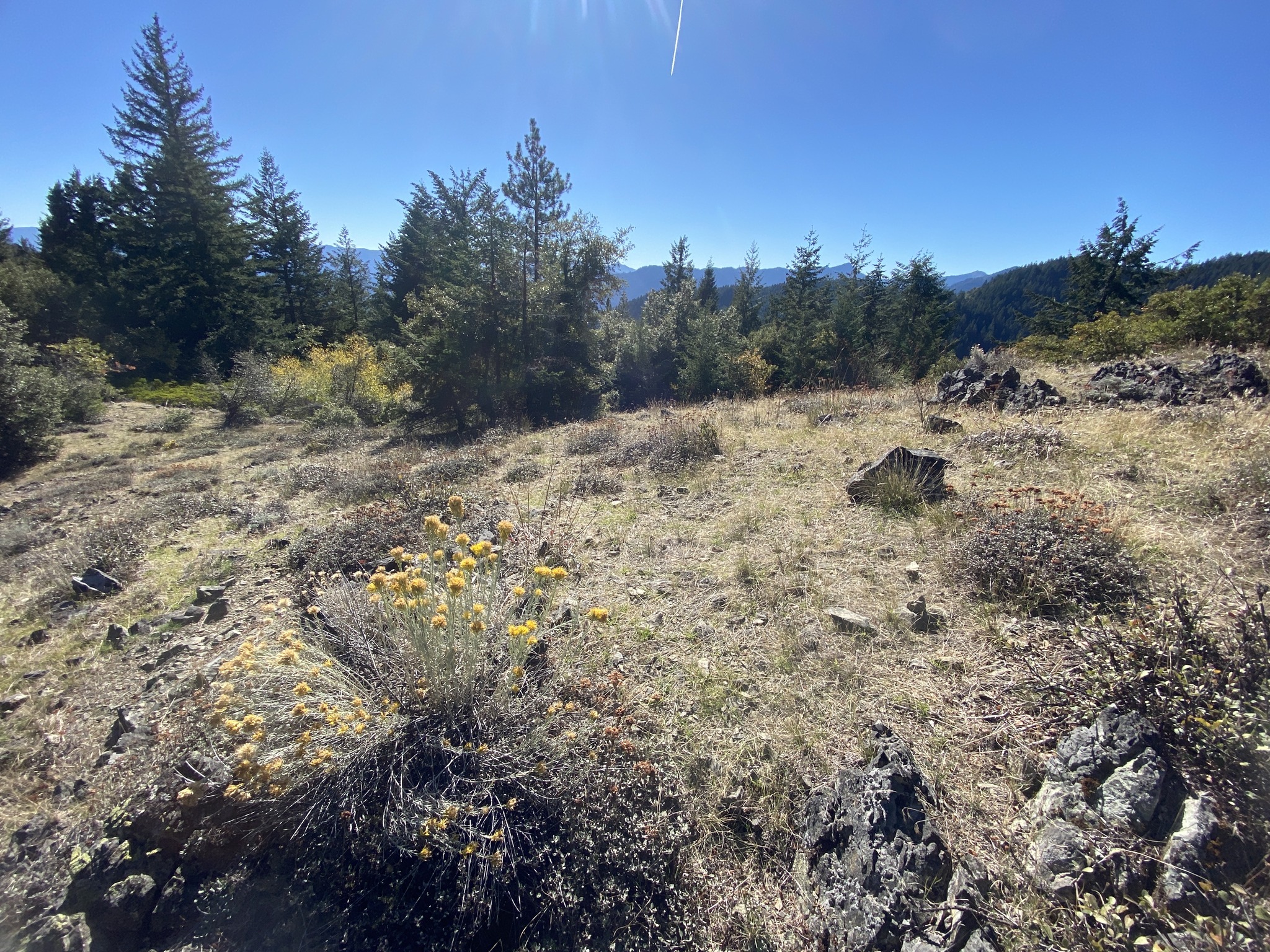 Applegate - Rocky openings on the high ridge leading to Humpy Mountain ...