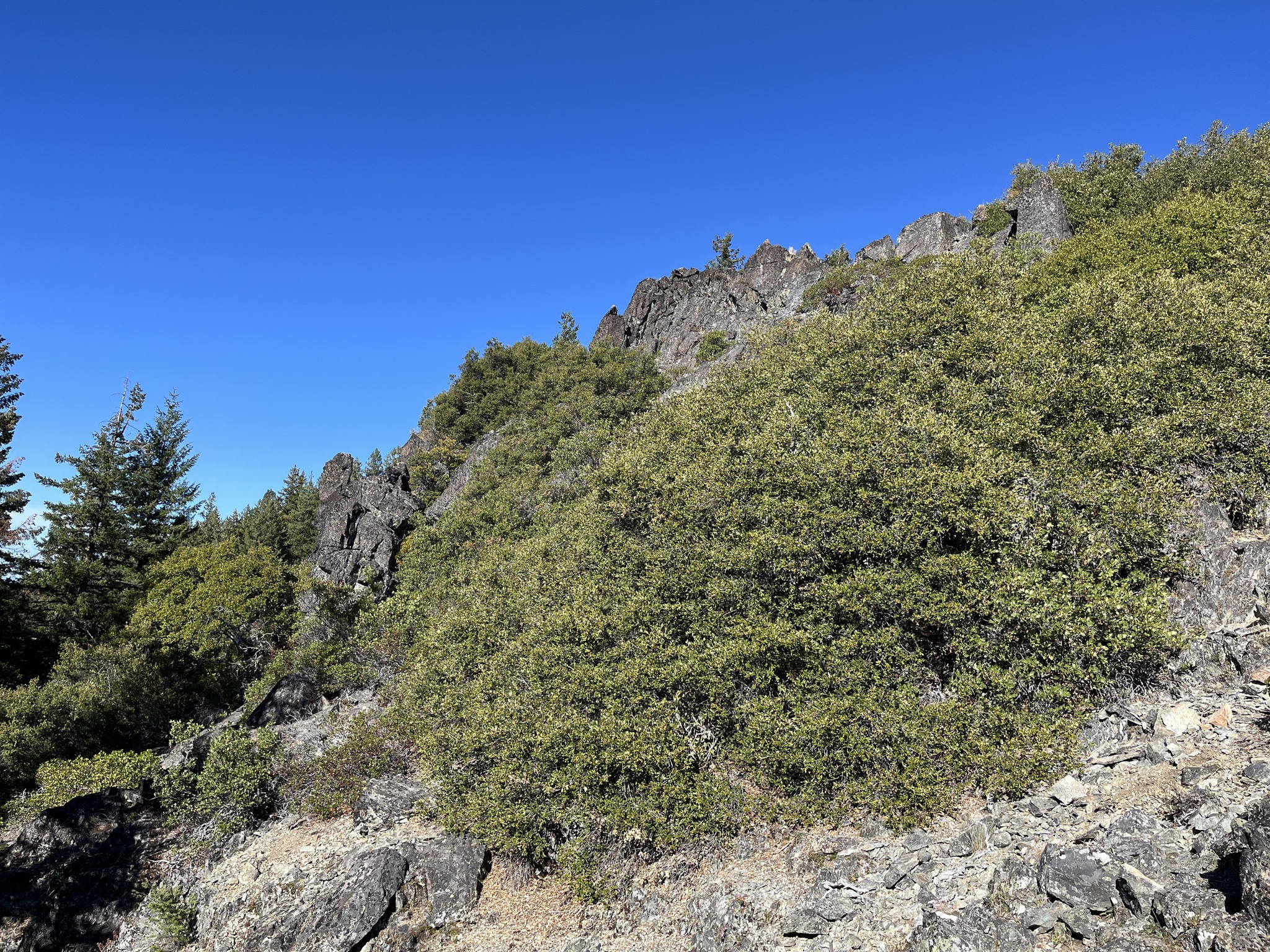 Applegate - Rock outcrops and live oak on the summit of Humpy Mountain ...