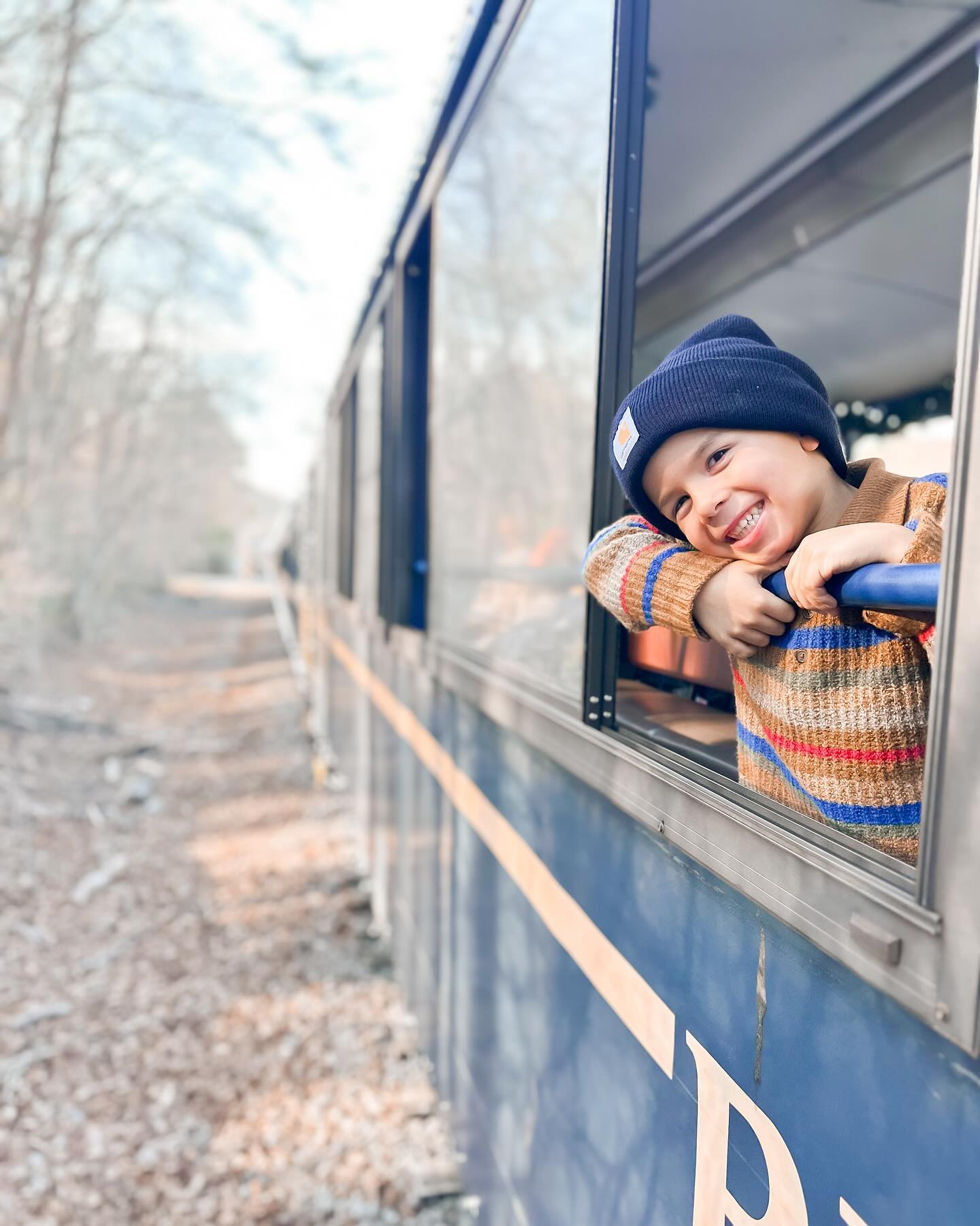 The Blue Ridge Scenic Railway is fun... - Visit Blue Ridge GA | Facebook